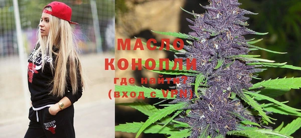 крисы Новодвинск