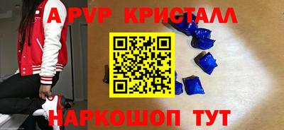 индика Тара