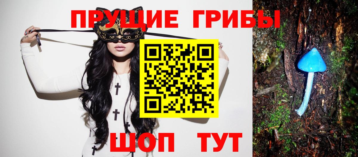 Галлюциногенные грибы прущие грибы Сочи