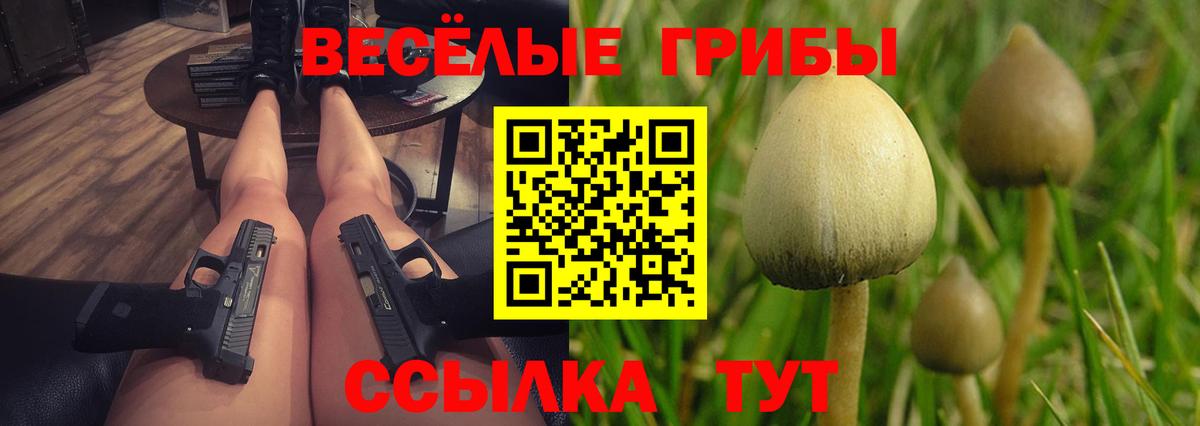 Сочи  Галлюциногенные грибы мухоморы  Вход с VPN 